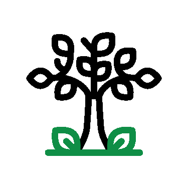 Tree Icon